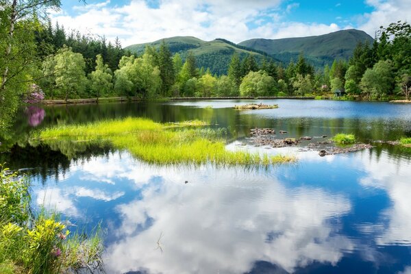 A cozy lake in which clouds are reflected