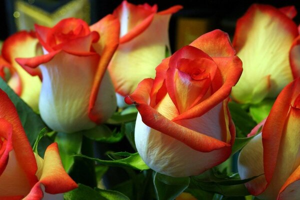 Schöner Blumenstrauß aus orangefarbenen Rosen