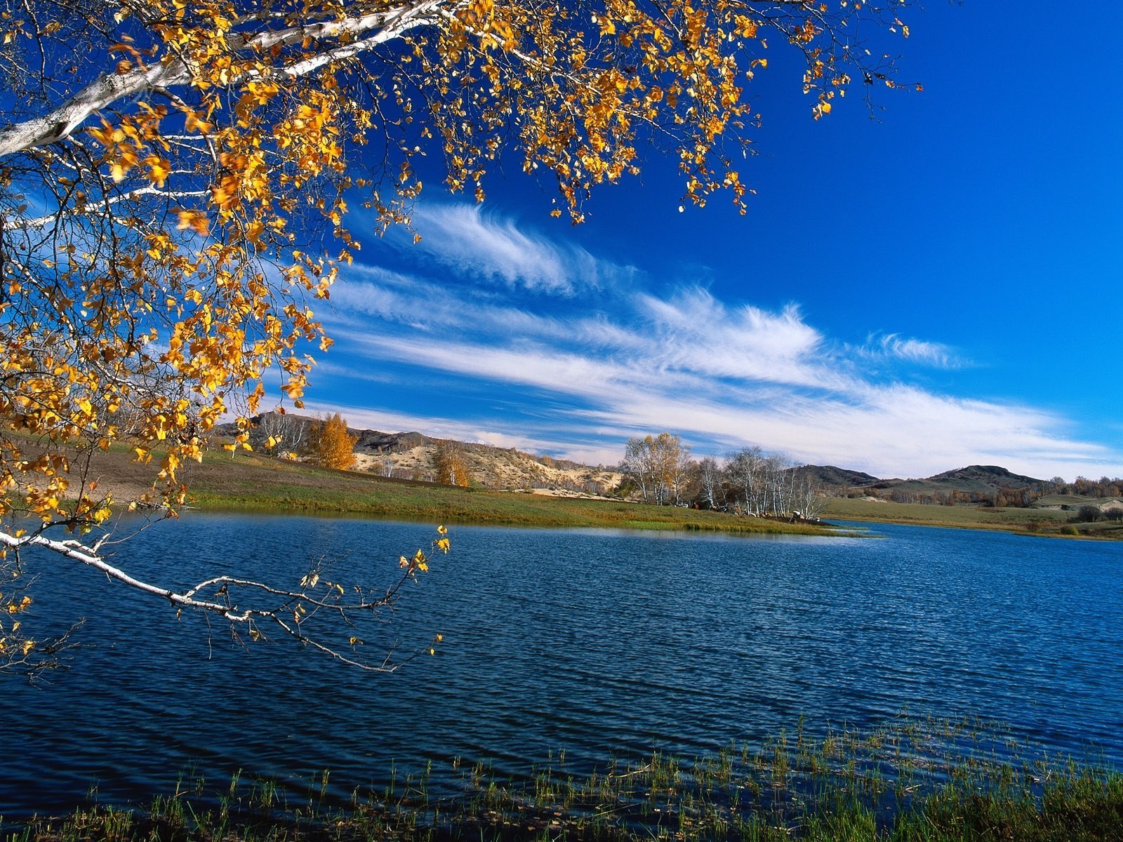 rivers ponds and streams landscape fall tree nature water lake outdoors scenic sky leaf wood season fair weather travel reflection