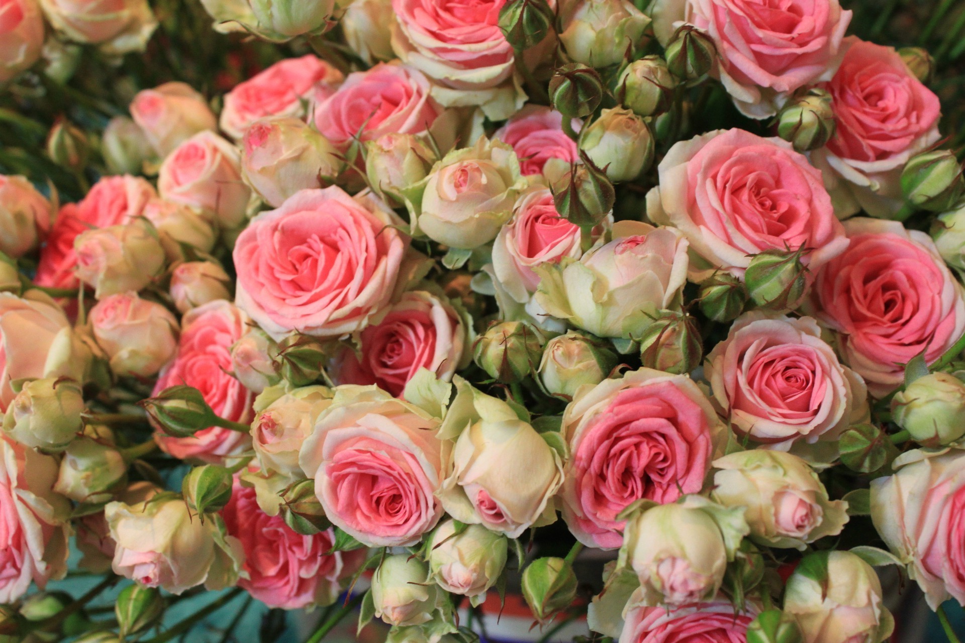 розы букет цветочные расположение цветок свадьба любовь лепесток подарок невеста флора флорист романтика блюминг кластер центральным ботанический украшения брак для новобрачных
