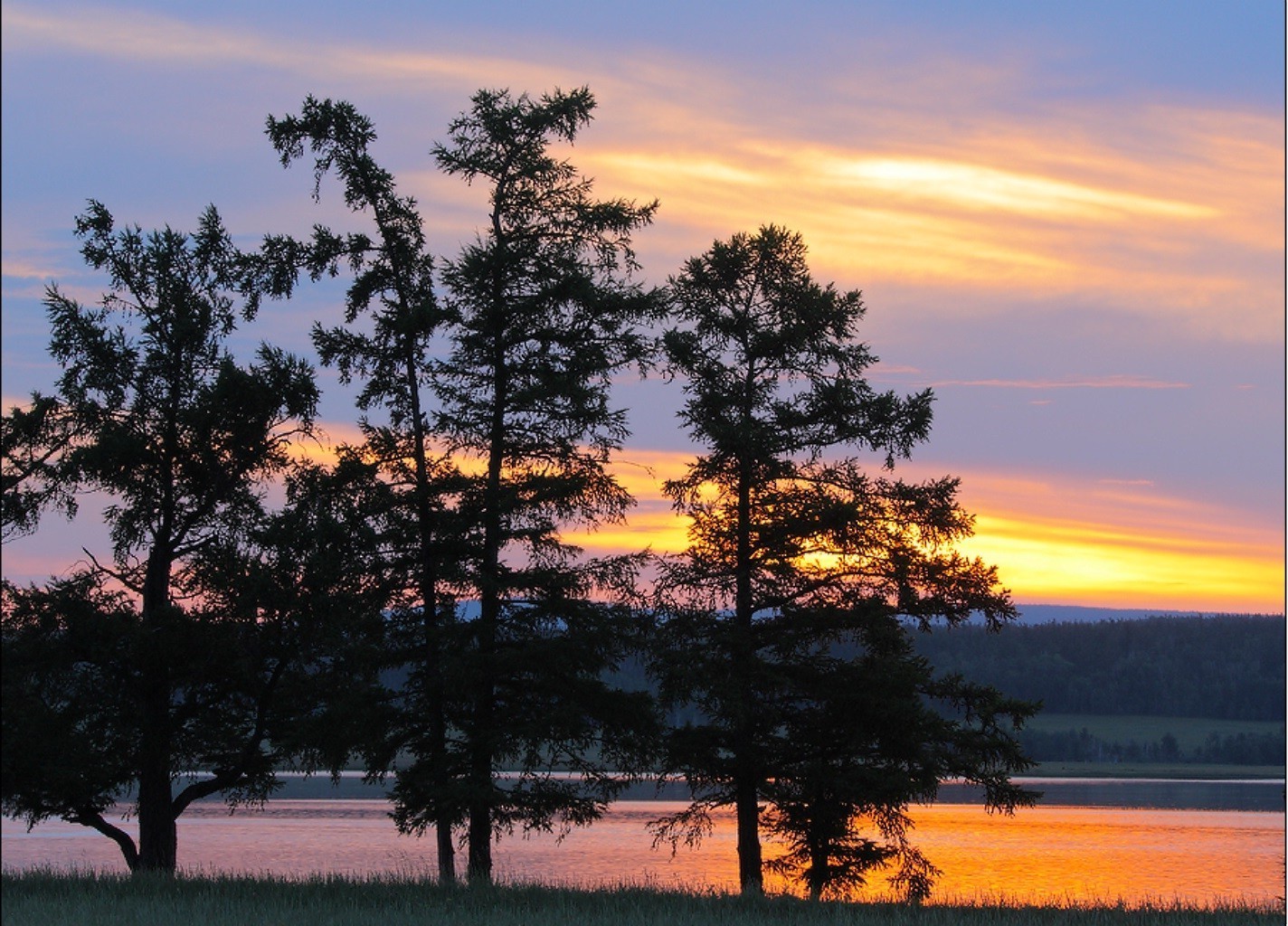 landscapes tree landscape outdoors nature dawn sun summer sky evening fair weather wood sunset