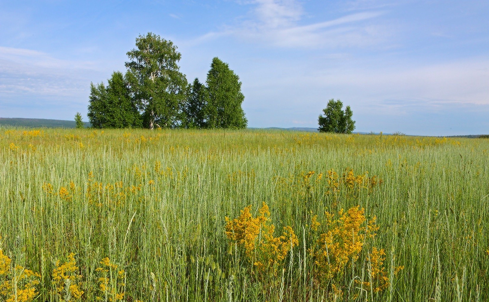 fields meadows and valleys outdoors landscape daylight nature rural summer grassland countryside hayfield field sky pasture grass