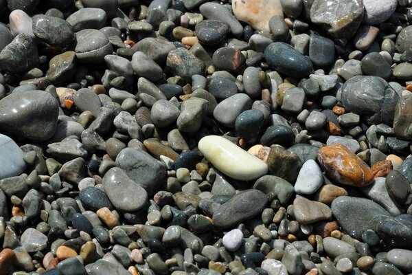 The beach of pebbles under the sun