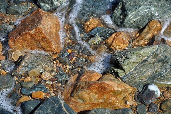 Bajo la piedra no fluye agua