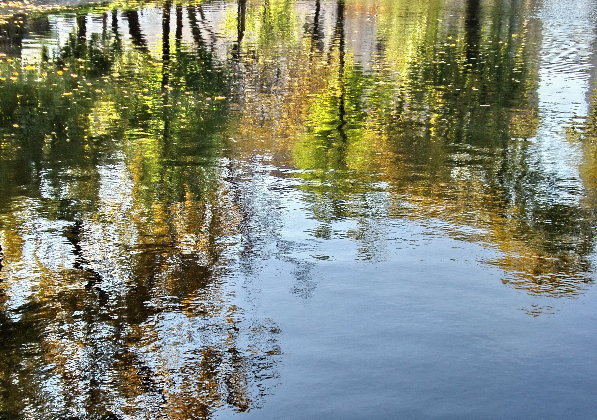 flüsse teiche und bäche teiche und bäche wasser reflexion natur schwimmbad fluss see im freien holz landschaft gelassenheit