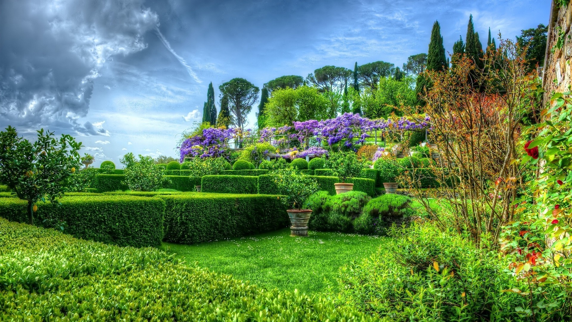 花园 花园 草坪 草 花 树 自然 夏天 景观 植物 公园 叶 户外 风景 干草制作 天空 奇观 增长 农村 季节