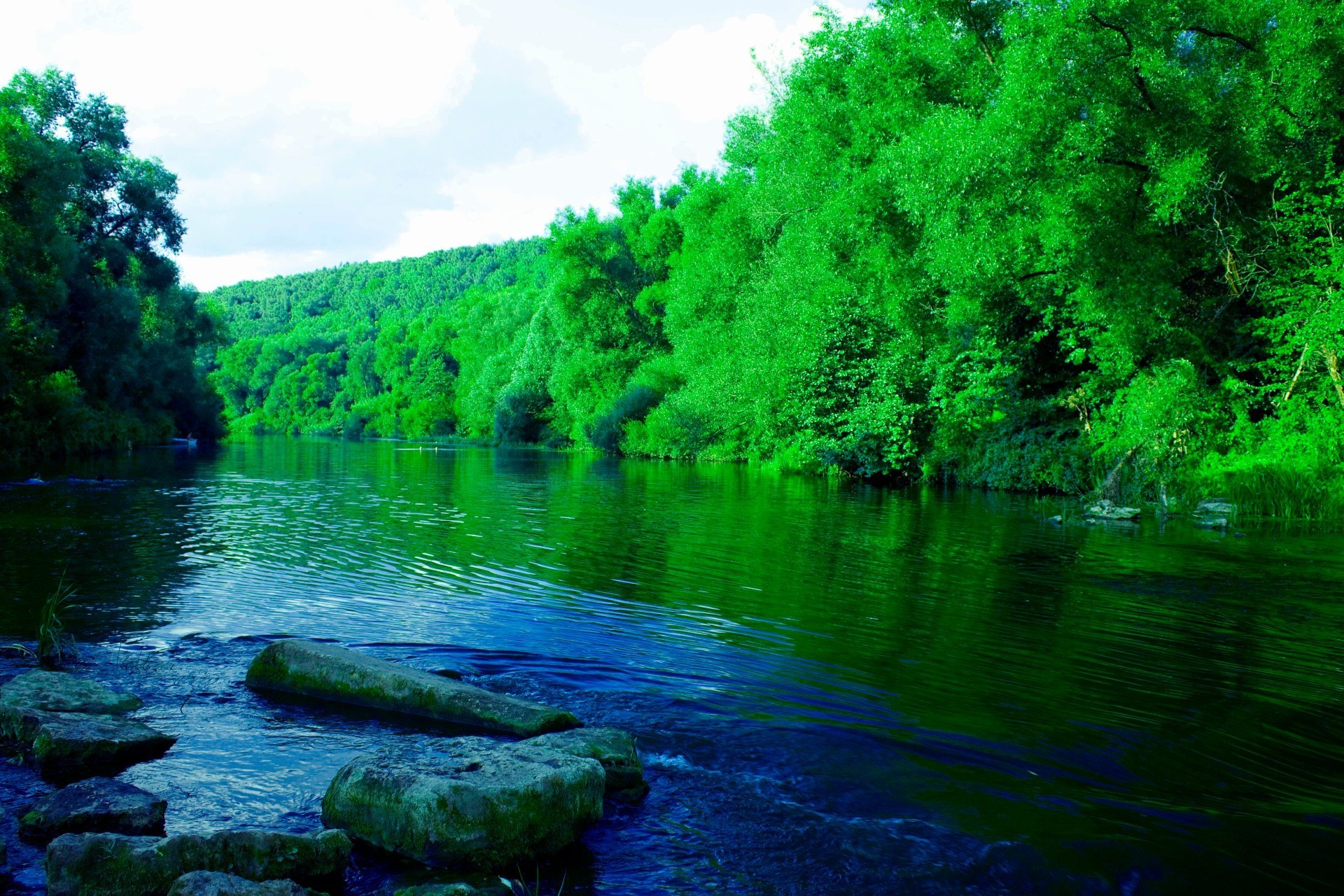 rivières étangs et ruisseaux étangs et ruisseaux eau rivière nature paysage bois bois été voyage à l extérieur lac feuille réflexion environnement ruisseau parc belle