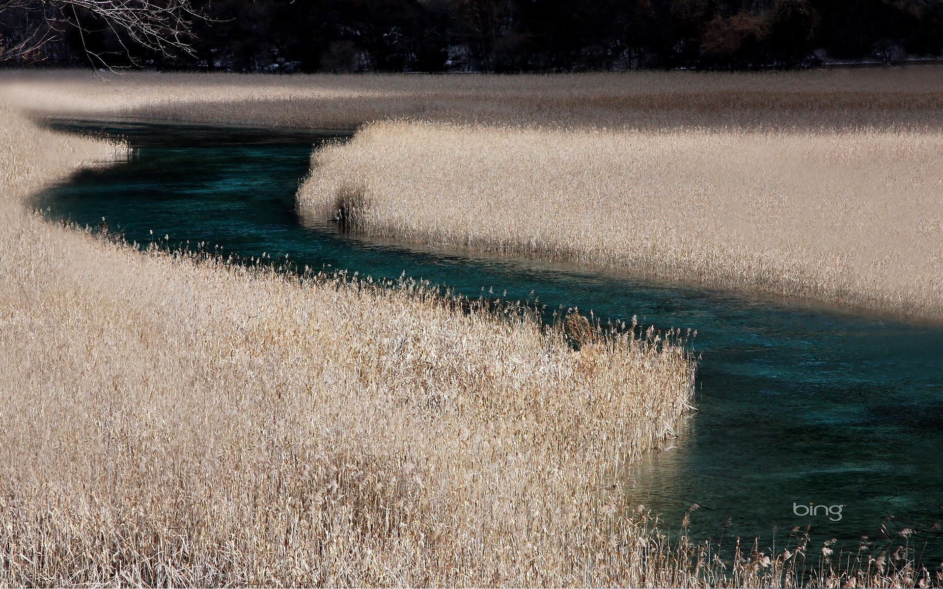 web acqua all aperto natura bagnato lago paesaggio meteo