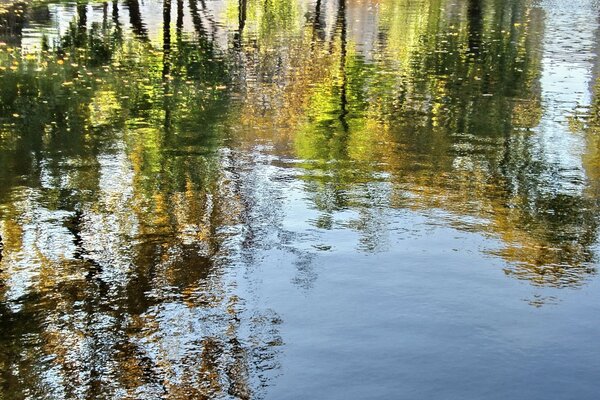 Estanques y arroyos reflejo del agua del río