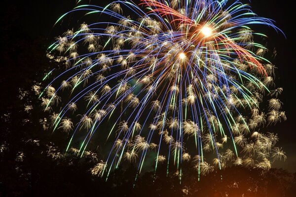 Les participants au Festival des feux d artifice