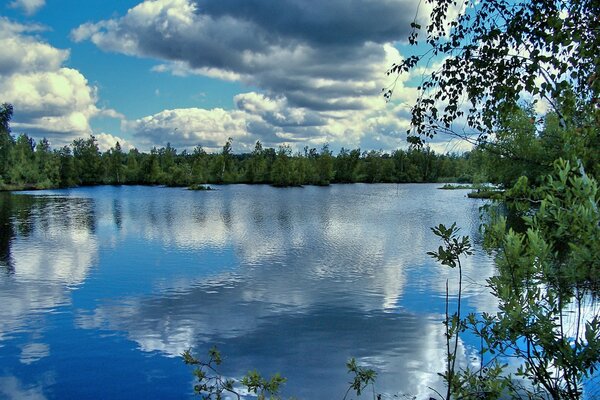 Die Landschaft der Natur spiegelt das Wasser wider