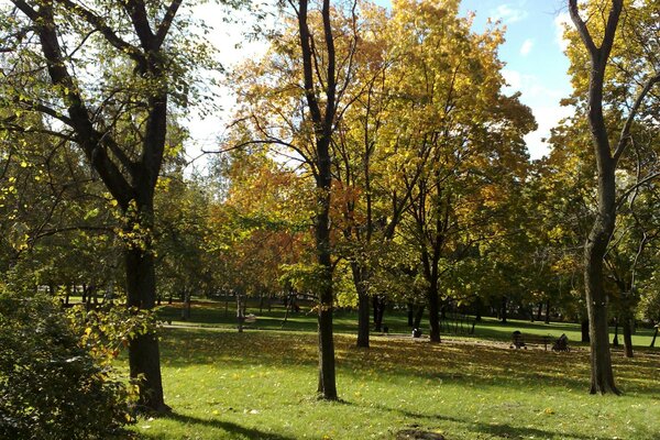 Jesienny park w ciepły dzień