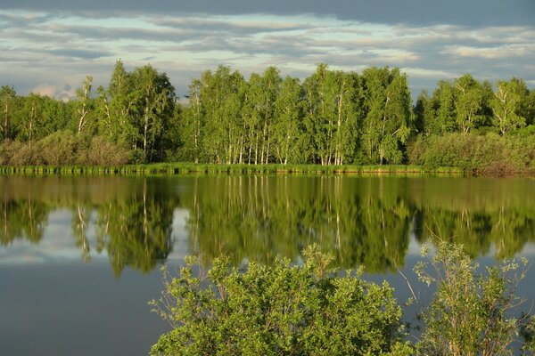 Reflection of water landscape nature