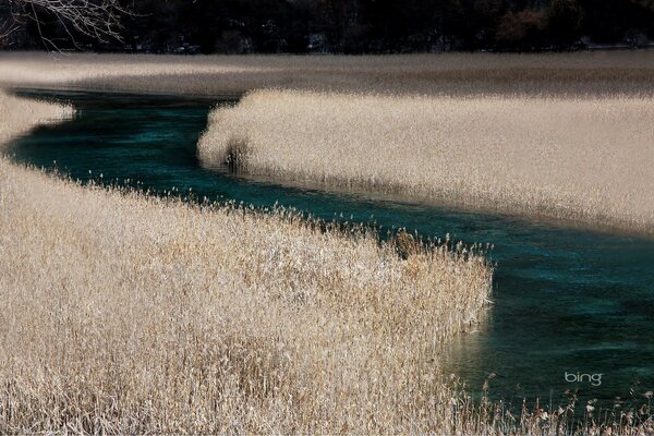 Bellissimo fiume blu su un campo in erba