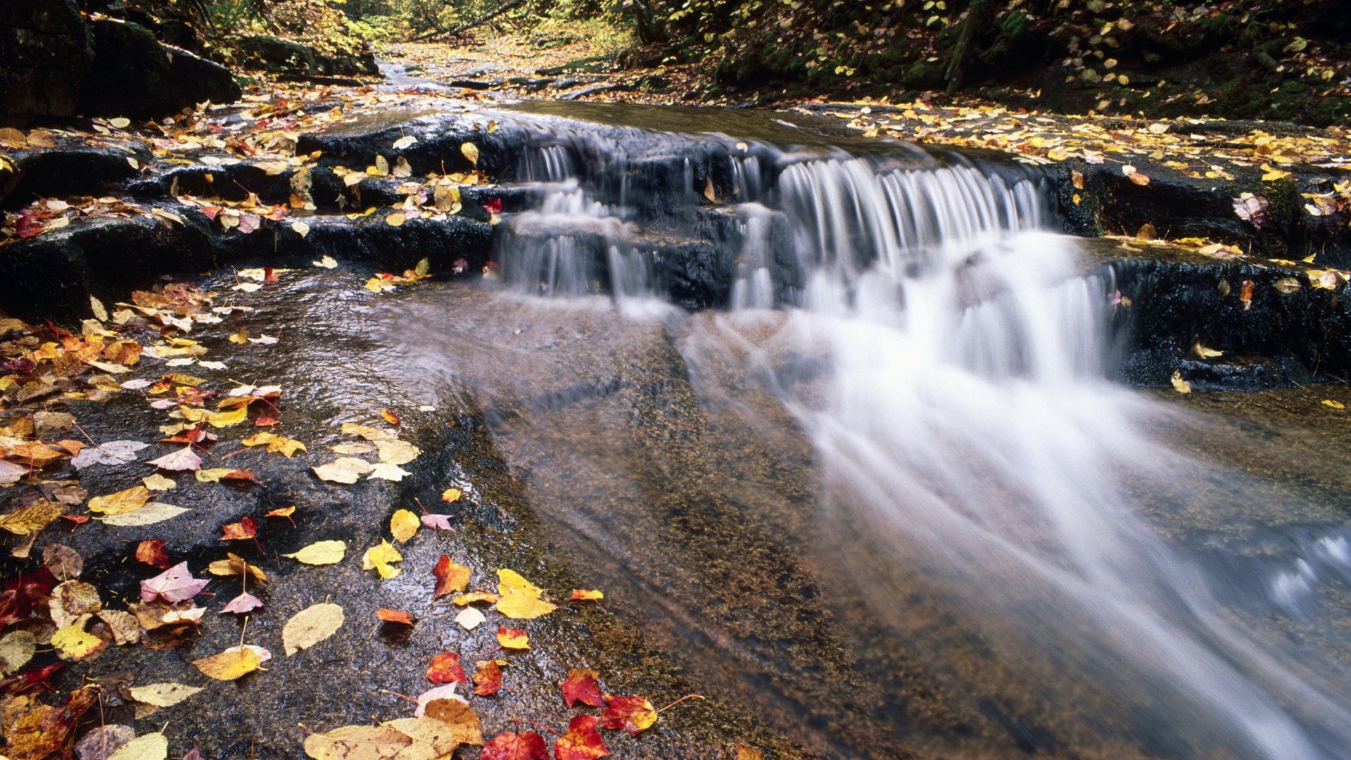 cascate acqua autunno cascata fiume flusso natura all aperto paesaggio viaggio flusso roccia creek foglia bagnato movimento legno parco