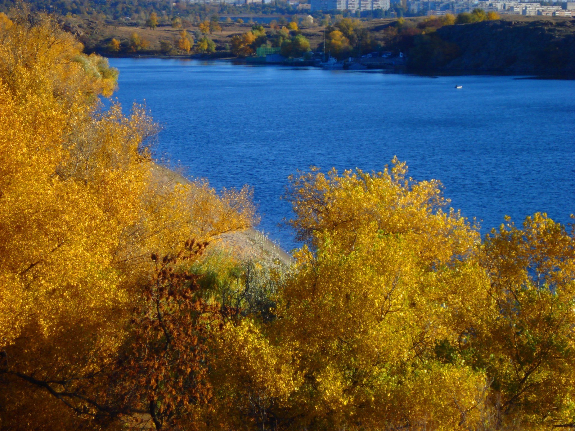 rivers ponds and streams fall landscape tree leaf nature water scenic wood lake daylight season outdoors gold scenery park