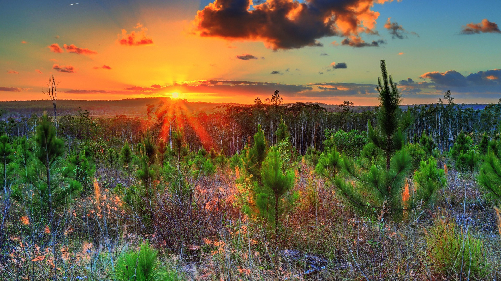 tramonto e alba tramonto alba paesaggio natura sera crepuscolo cielo sole all aperto acqua estate bel tempo scenico albero luminoso erba viaggi