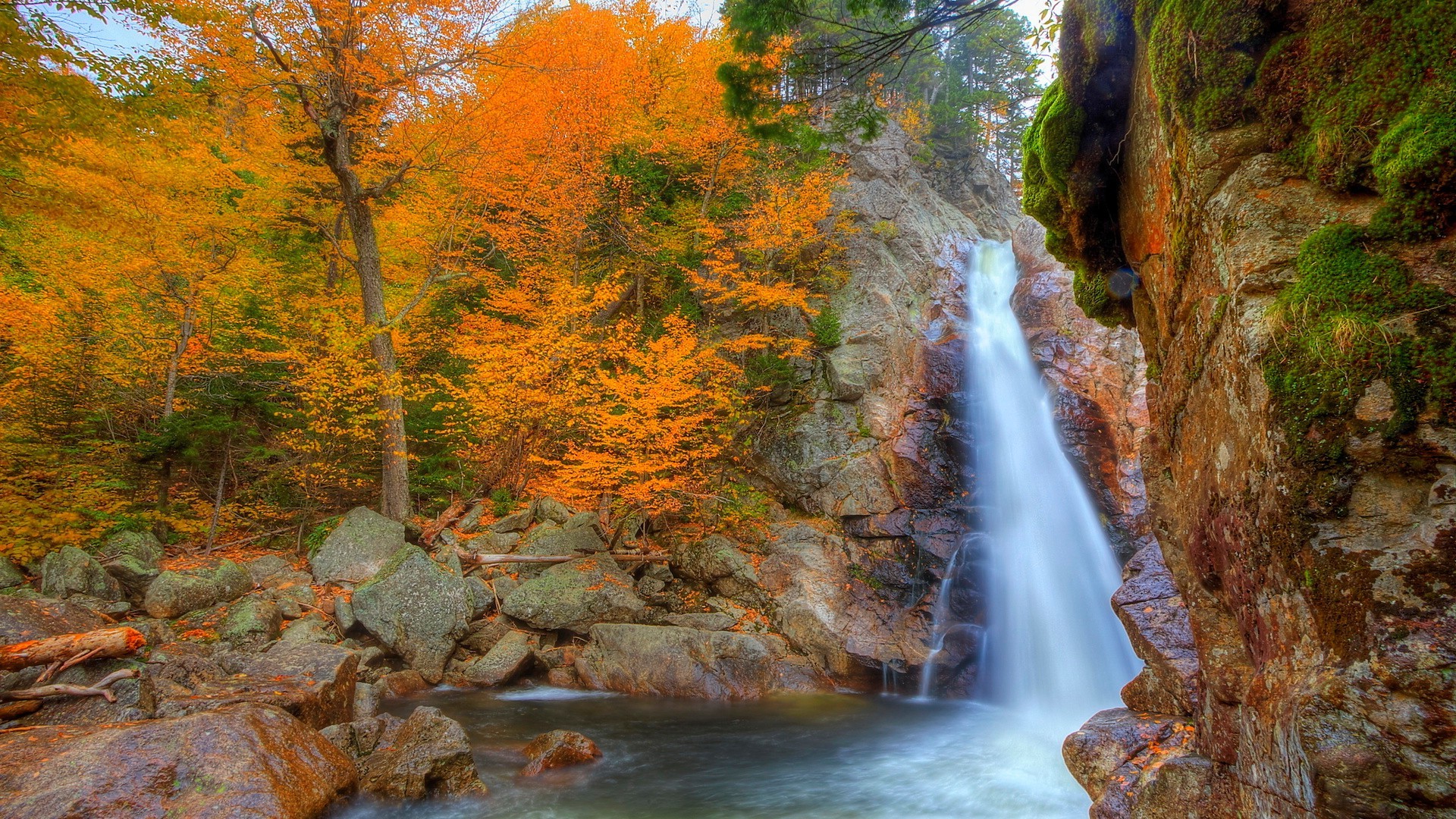 waterfalls fall waterfall water leaf wood stream nature river outdoors landscape tree cascade creek rapids rock scenic flow park travel