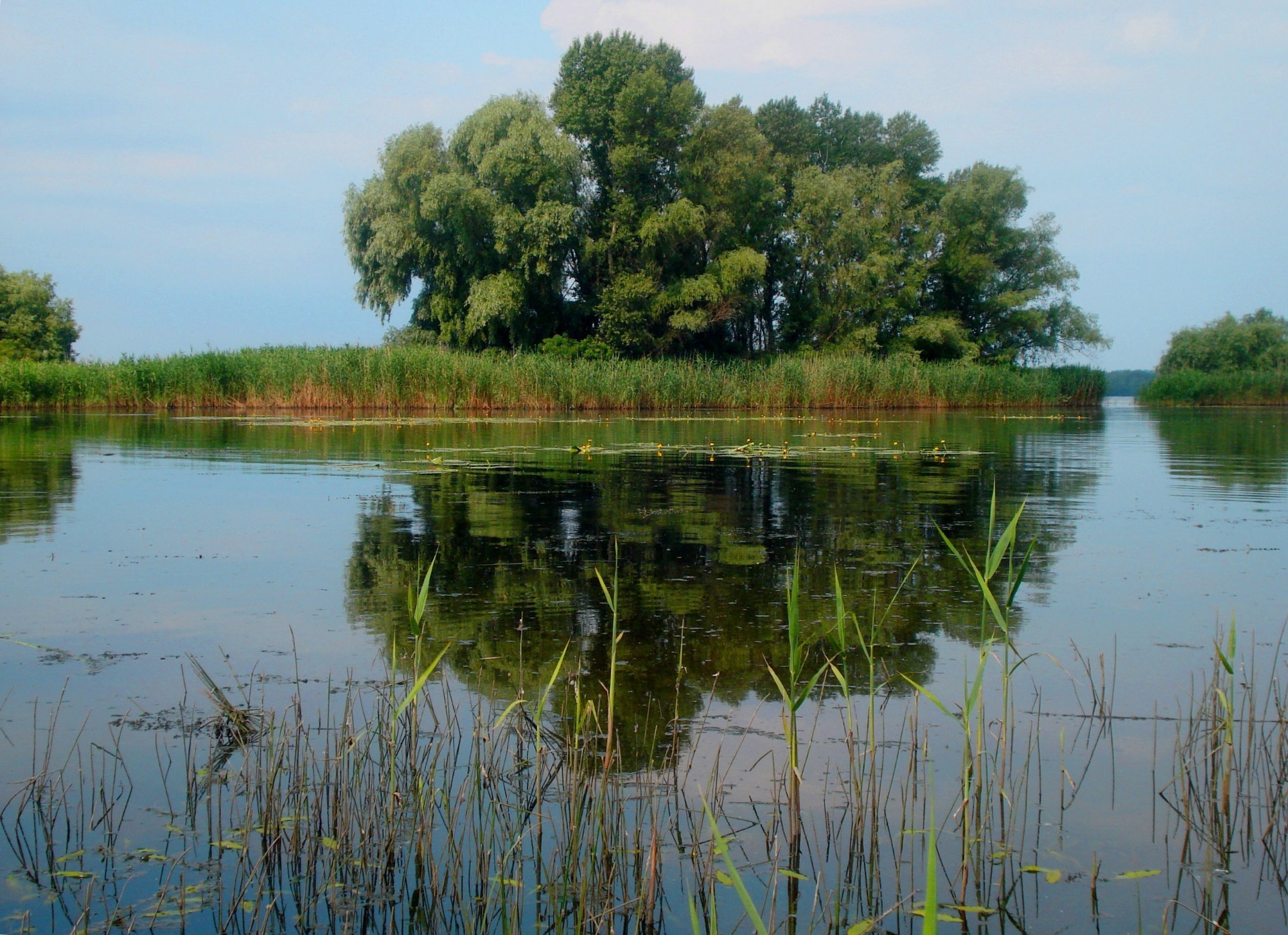 ilha reflexão água lago rio piscina árvore paisagem canal natureza reed pântano espelho ao ar livre céu rio marcha grama madeira