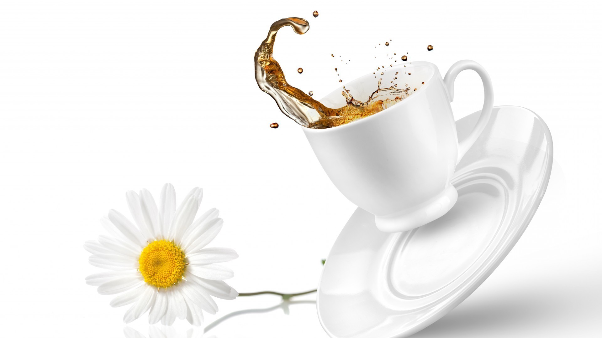 té bebida desayuno café taza leche amanecer capuchino taza crema caliente espresso líquido cafeína espuma escritorio