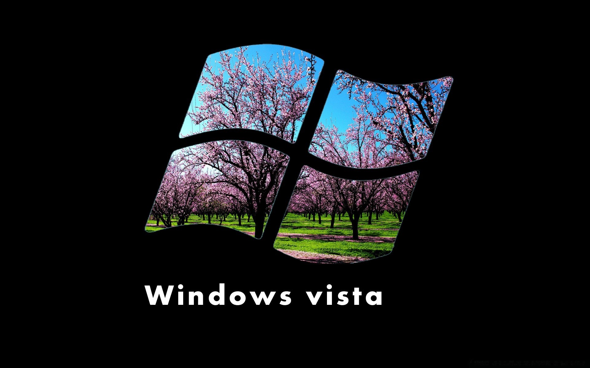 windows al aire libre naturaleza