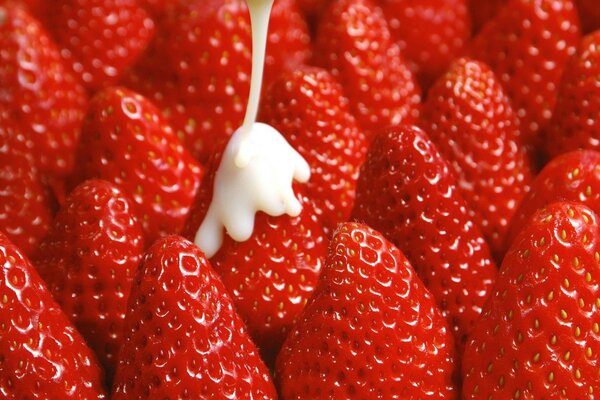 Erdbeeren und Sahne sind wahnsinnig lecker