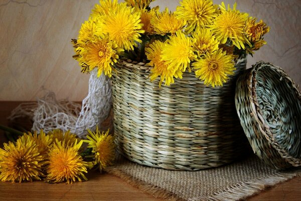 Ein wunderschönes Karzinom von Blumen. Eine erstaunliche Dekoration für zu Hause