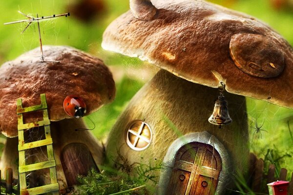 Mushrooms. Fairy houses of dwarfs