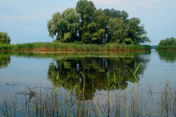 Jezioro. Zielona wysepka w jeziorze. Cicha Przystań