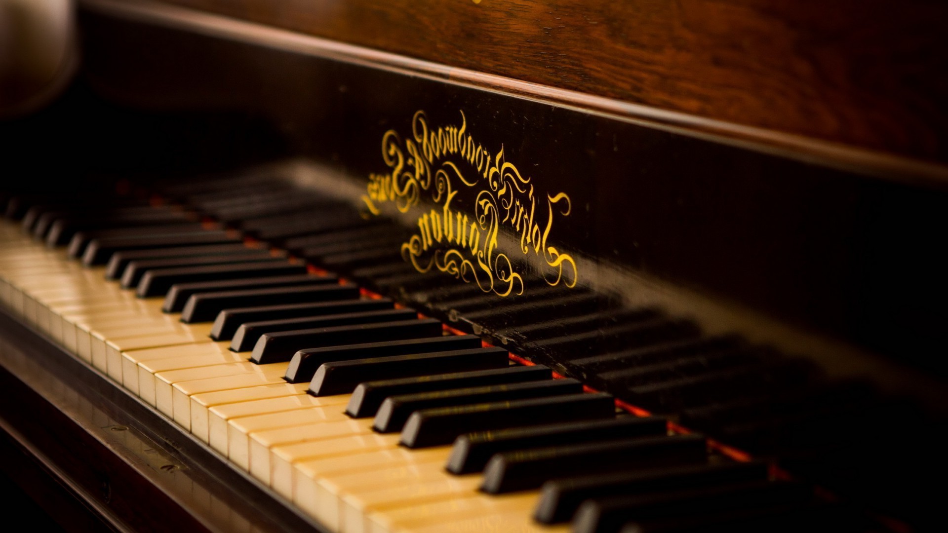 музыкальные инструменты фортепиано кот эбони инструмент звук музыка синтезатор клавиатура аккорд песня гармония ритм джаз пианист ключ акустическая классический музыкант классическая музыка