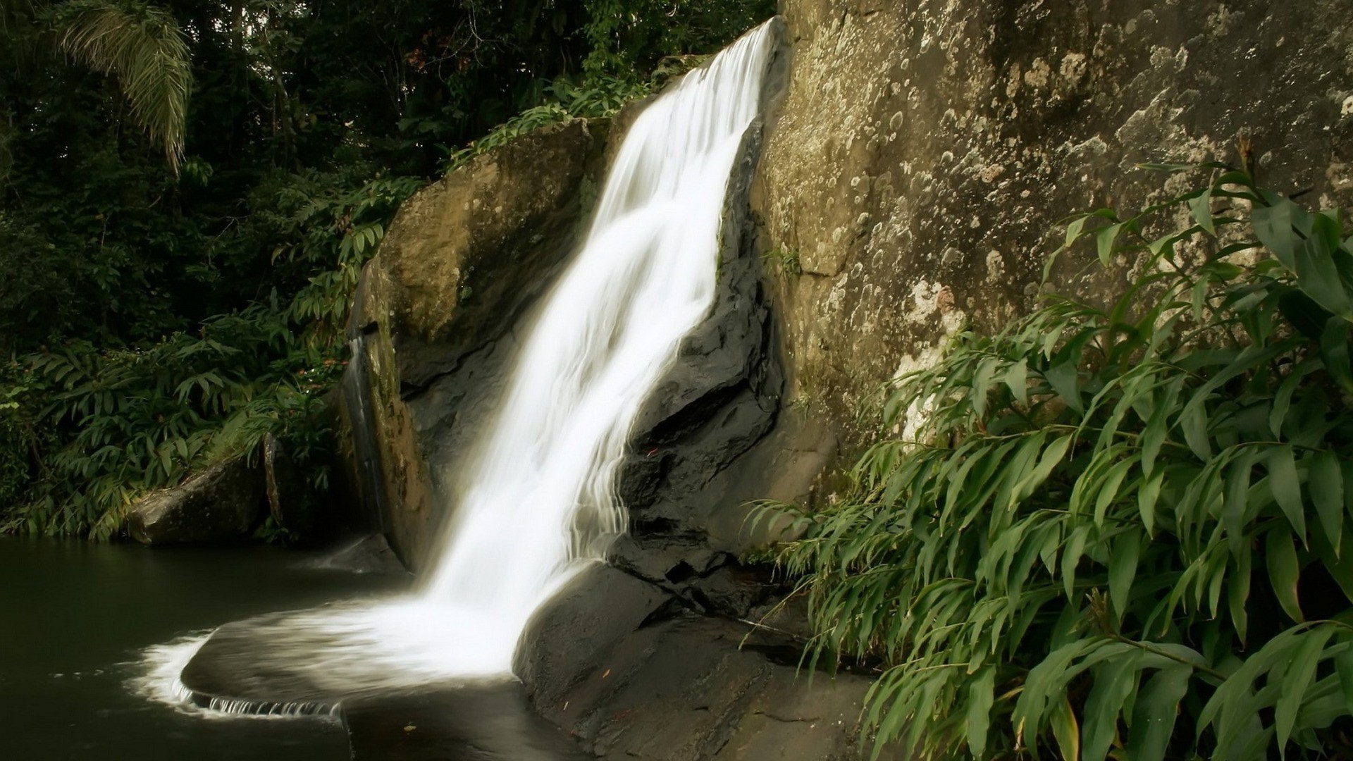 cascadas cascada agua río madera naturaleza corriente roca viajes paisaje hoja al aire libre cascada árbol movimiento otoño montañas creek corriente