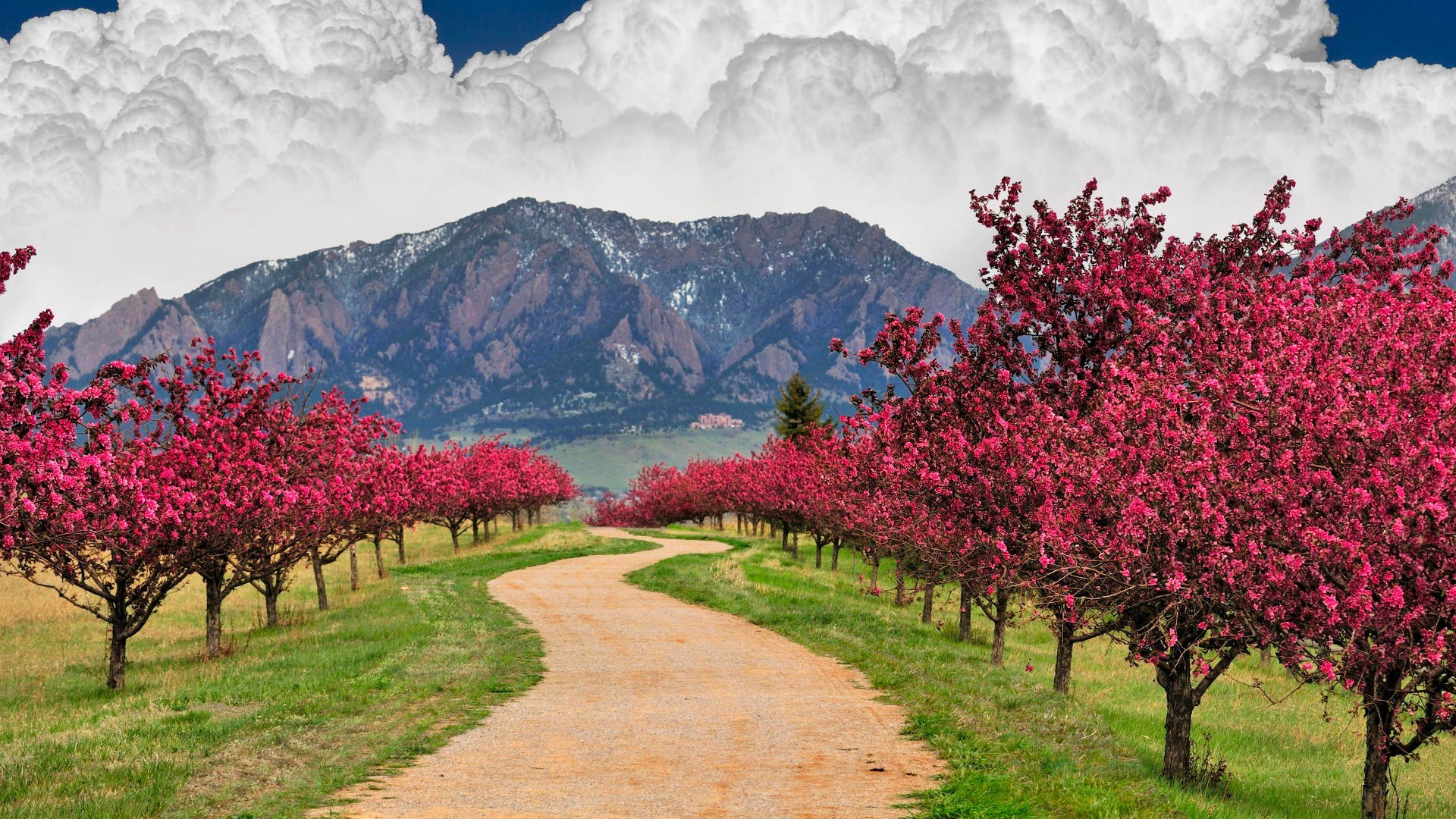 printemps arbre fleur paysage nature à l extérieur saison jardin voyage flore montagnes croissance été ciel lumière du jour parc