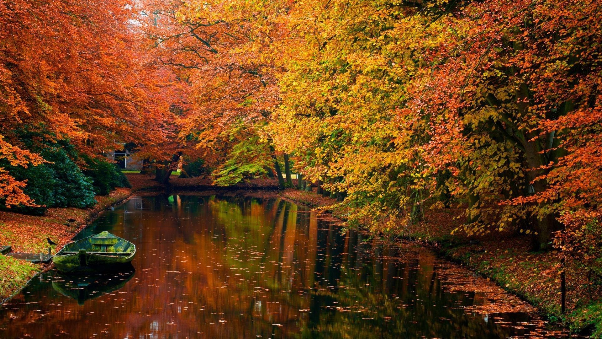 rivers ponds and streams fall leaf water outdoors tree wood river landscape nature travel lake maple