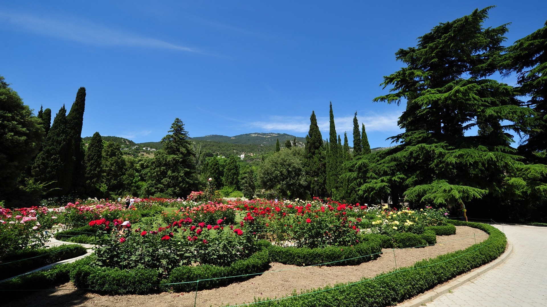 公园 花园 树木 花卉 景观 户外 旅游 日光 自然 公园 夏季