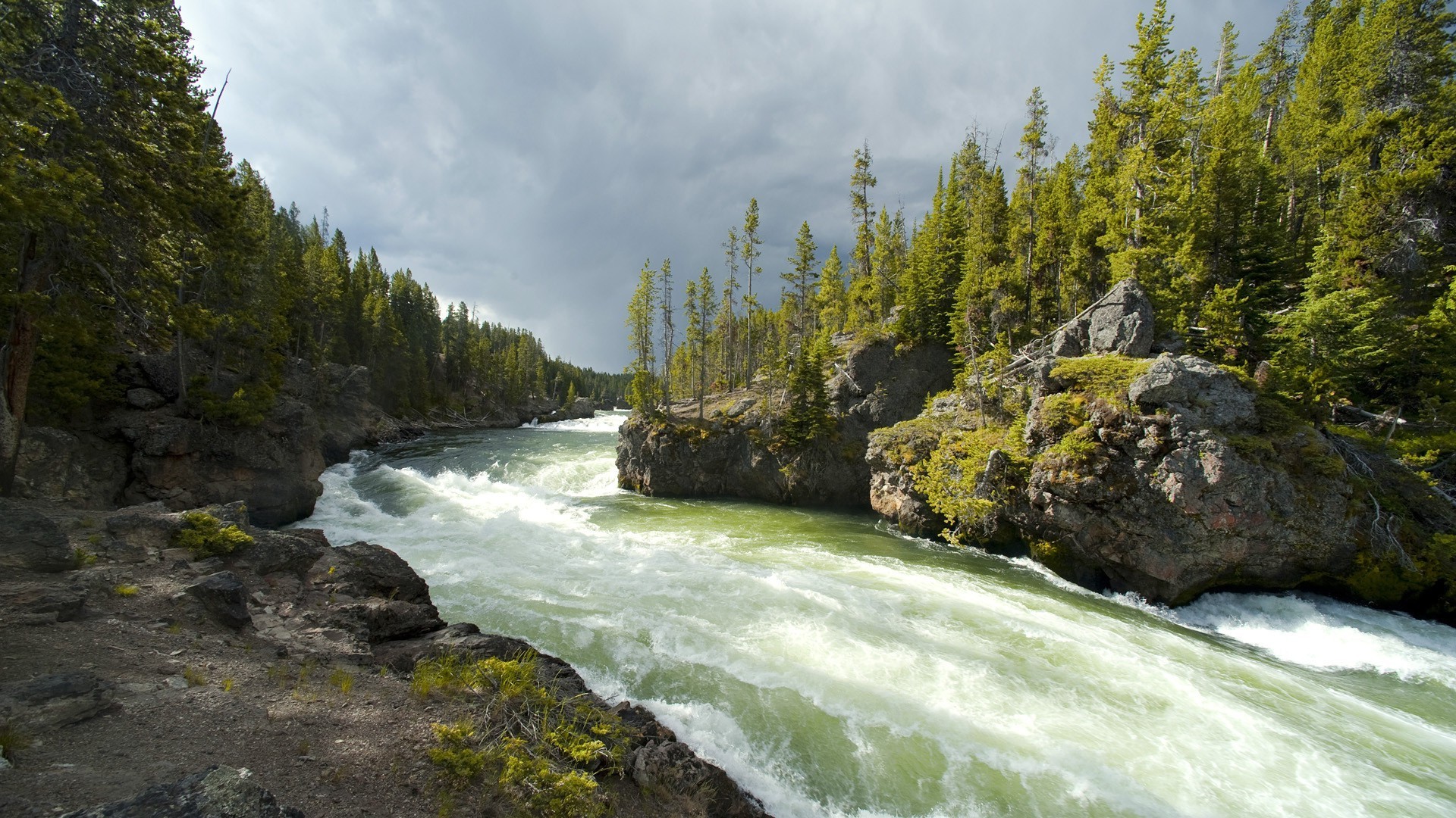 rivières étangs et ruisseaux étangs et ruisseaux eau rivière paysage nature cascade voyage flux rock à l extérieur bois bois scénique montagnes lumière du jour parc - rapids été cascade lac