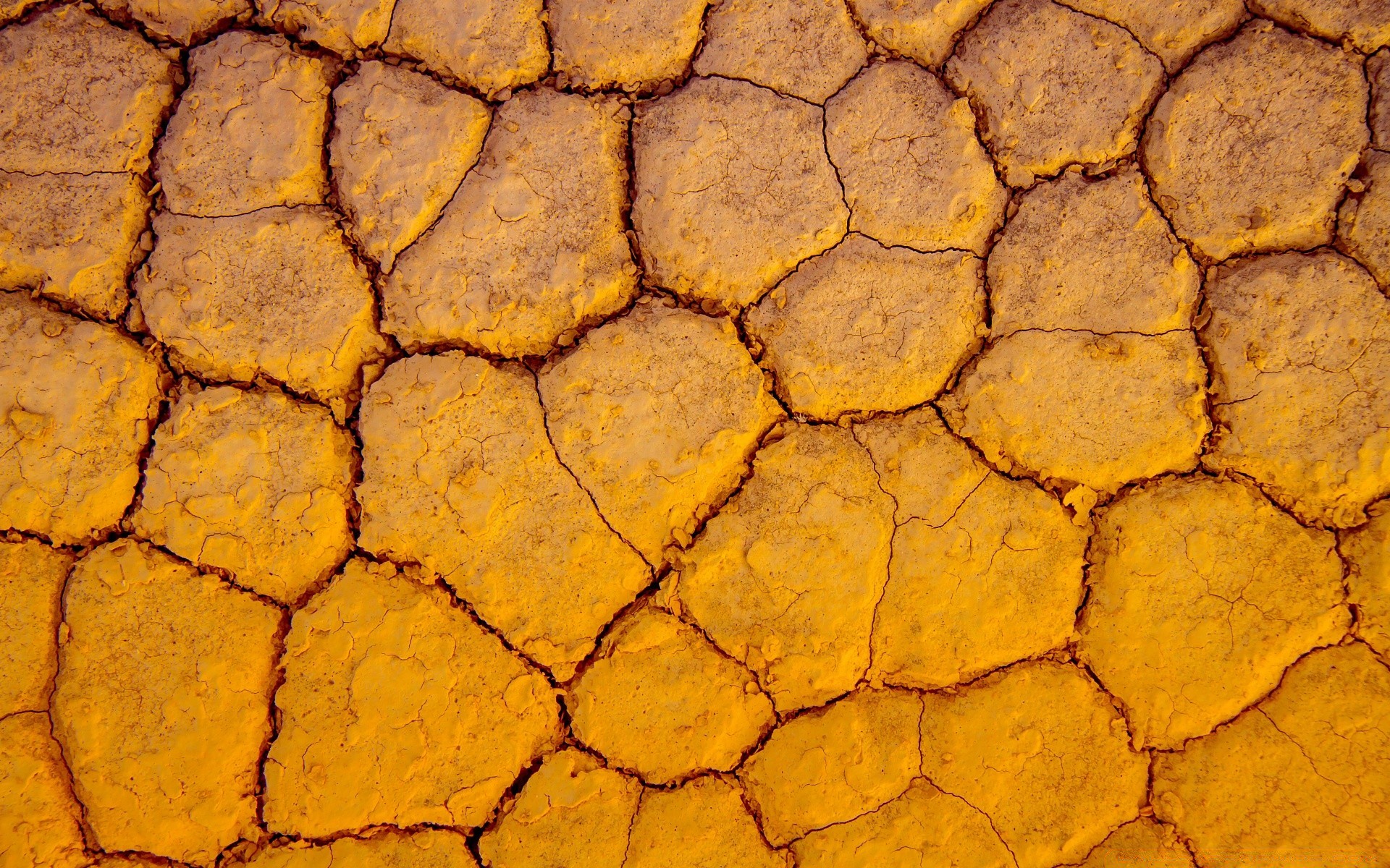 tierra textura patrón escritorio superficie tierra polvo sequía seco arida áspero arcilla suelo primer plano naturaleza desierto barro fondo resumen ecología sucio