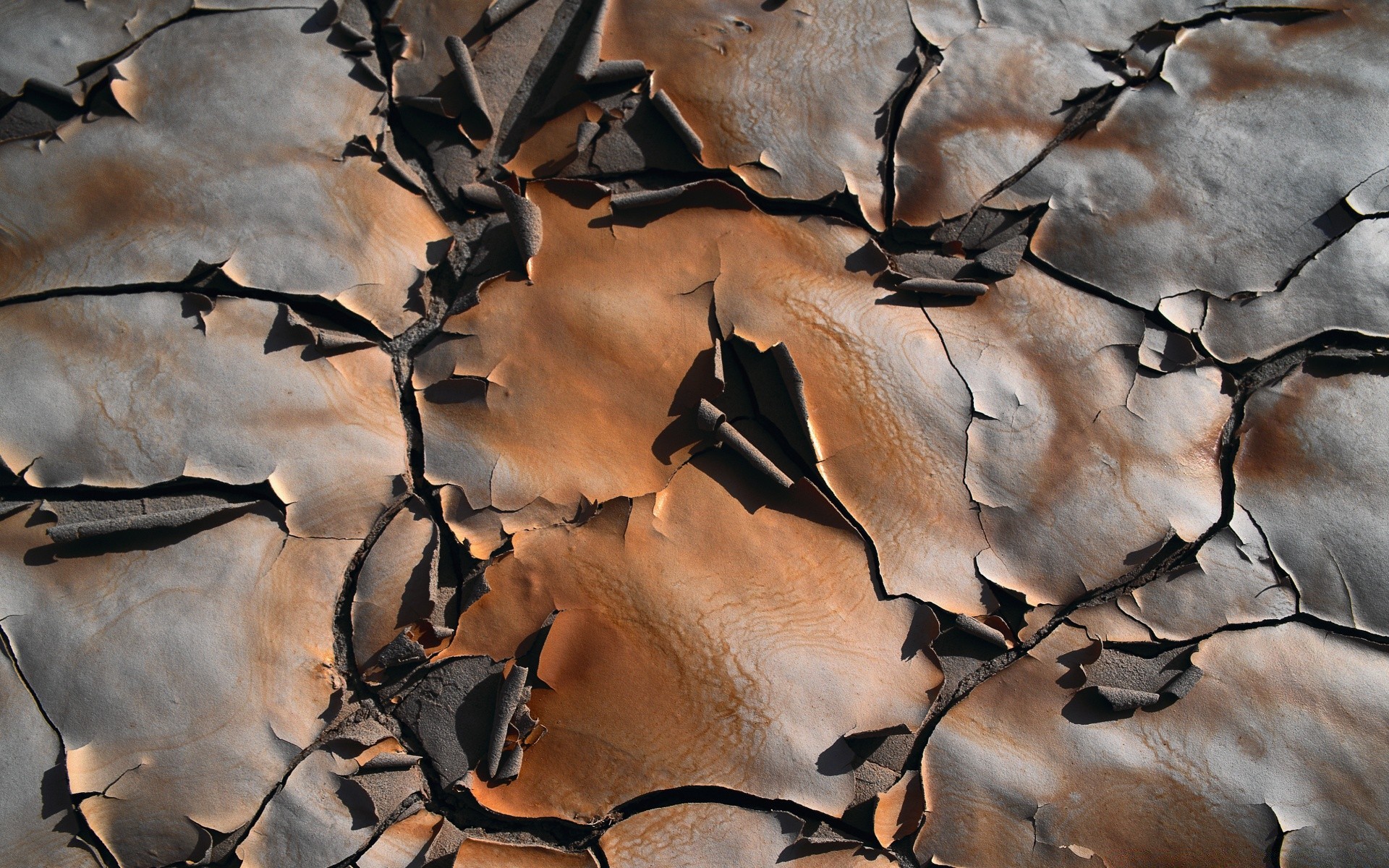 terra arte natureza árvore inverno textura outono padrão pássaro seco