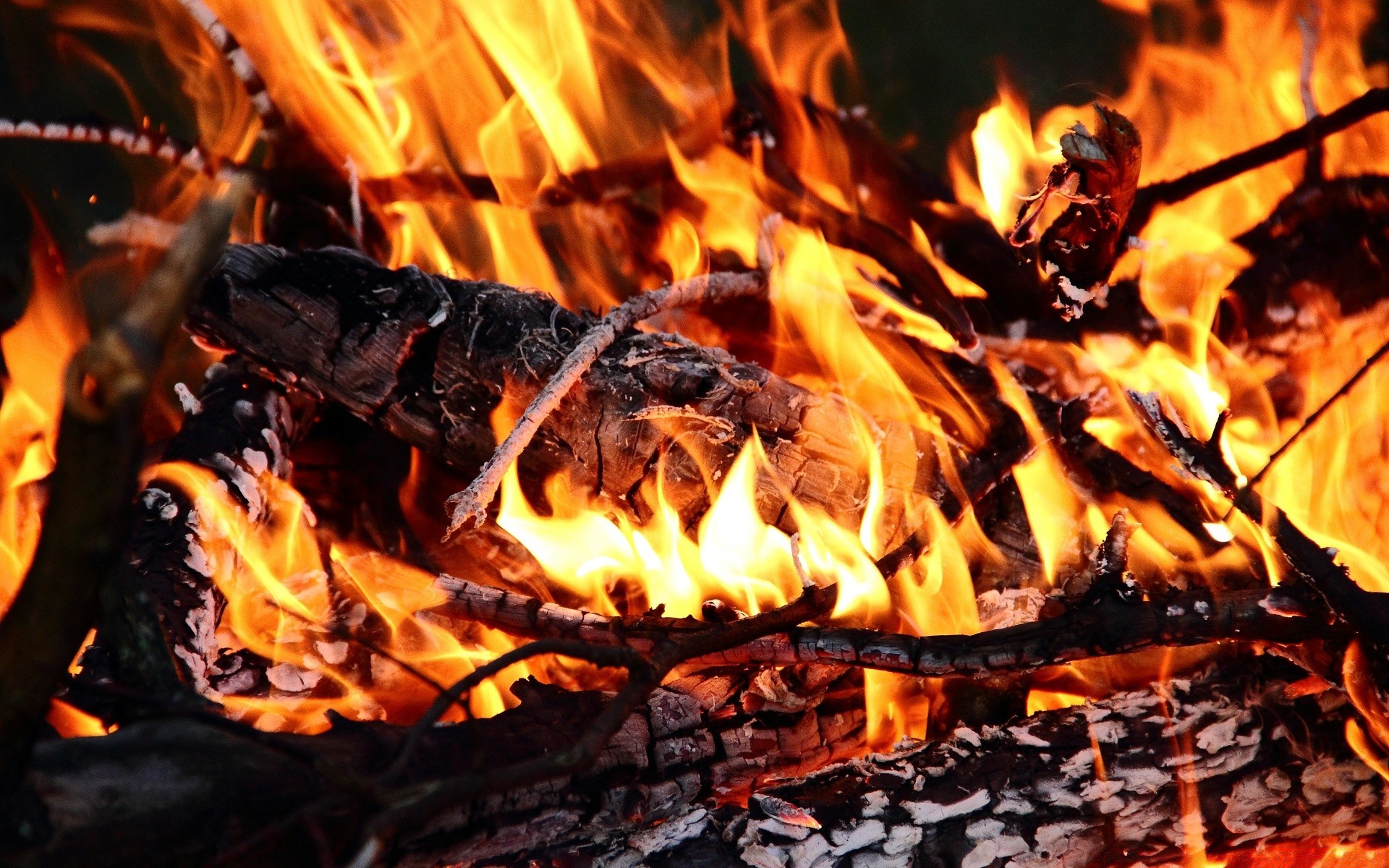 fogo chama lareira fogueira fogueira lenha carvão calor queimar carvão quente inferno cinza calor blaze fumaça acampamento combustível inflamar inflamável fogo