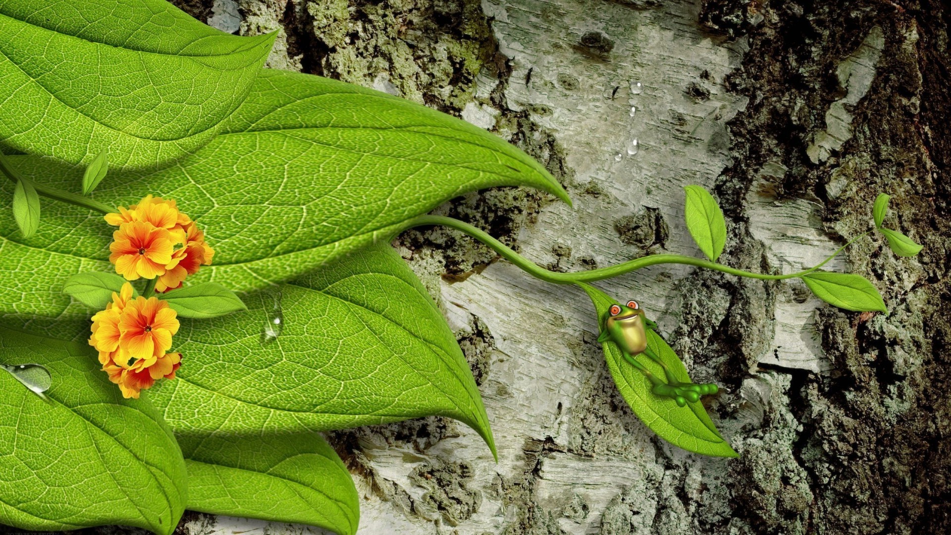 animais folha natureza flor flora verão jardim cor close-up ao ar livre crescimento meio ambiente