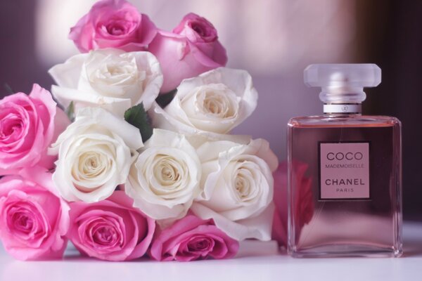 Delicate colors, a delicate fragrance for your beloved Mademoiselle