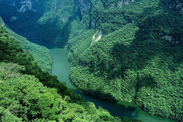 Encantadoras colinas verdes y el río