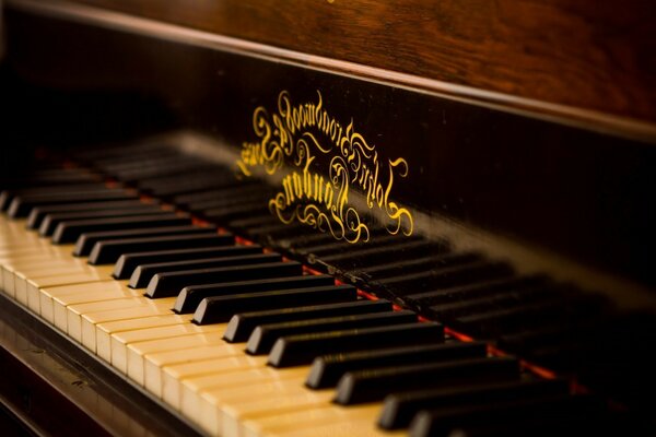 Musica per pianoforte strumento chic