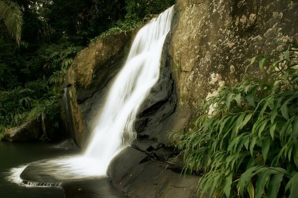 एक पहाड़ और हरी पत्तियों की पृष्ठभूमि पर झरना