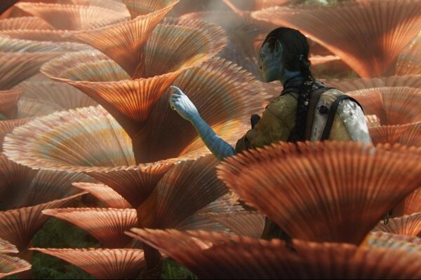 Fabulous musical plants from the movie Avatar 