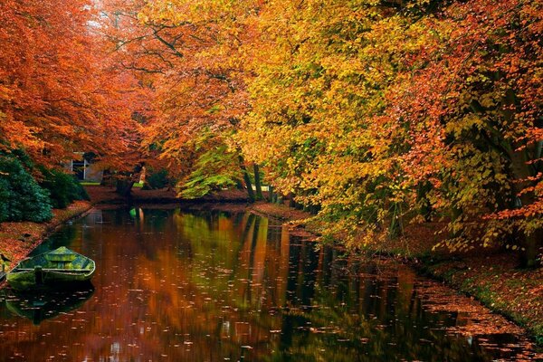 Parco con stagno. Paesaggio autunnale multicolore luminoso