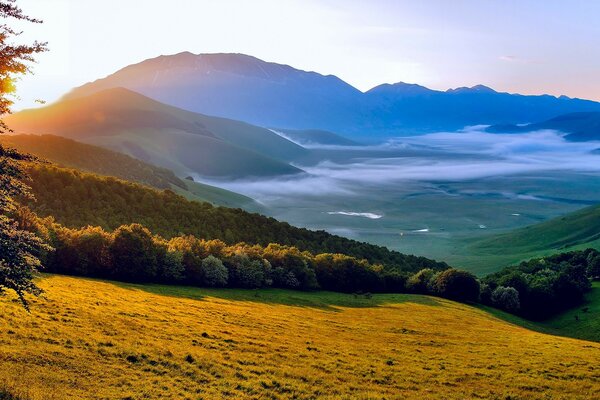 Sonnenaufgang. Nebel schleicht sich zwischen den grünen Hügeln