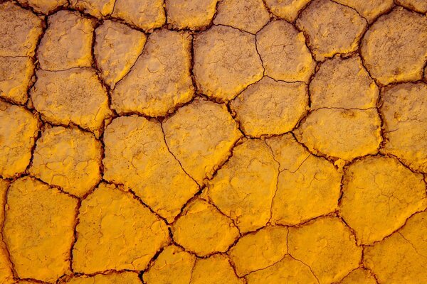 Dry land cracked desert