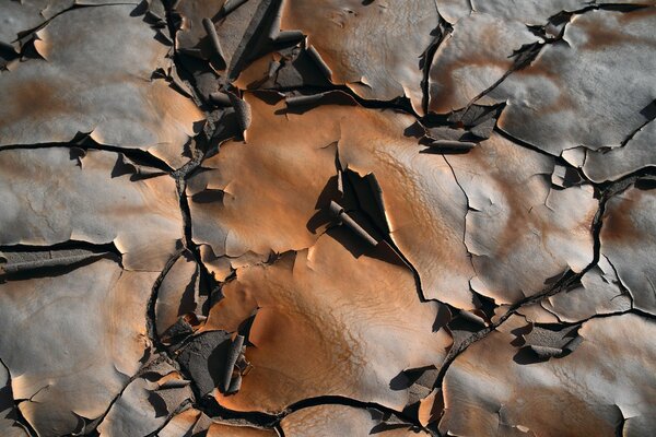 Terra seca e rachada em uma poça