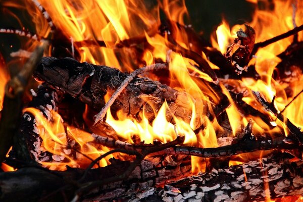 La llama del fuego calienta los huesos