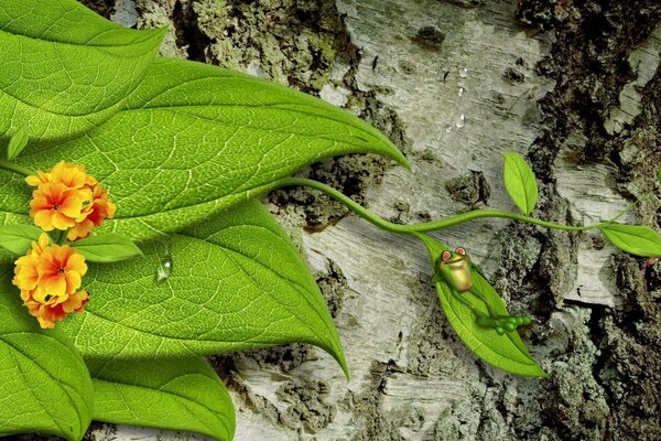 Una rana verde giace in una foglia verde